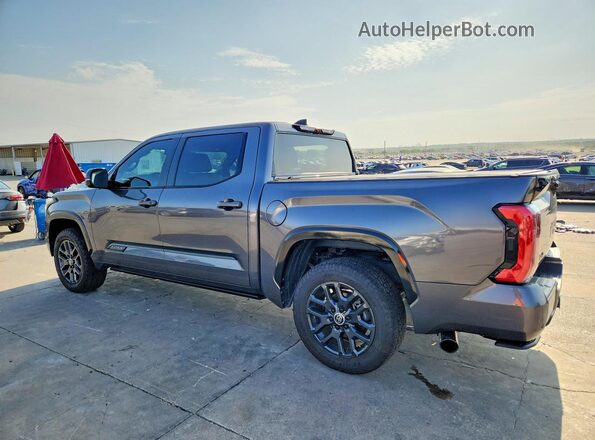 5TFNC5DB3RX047131 2024 TOYOTA TUNDRA Gray Trasero izquierdo