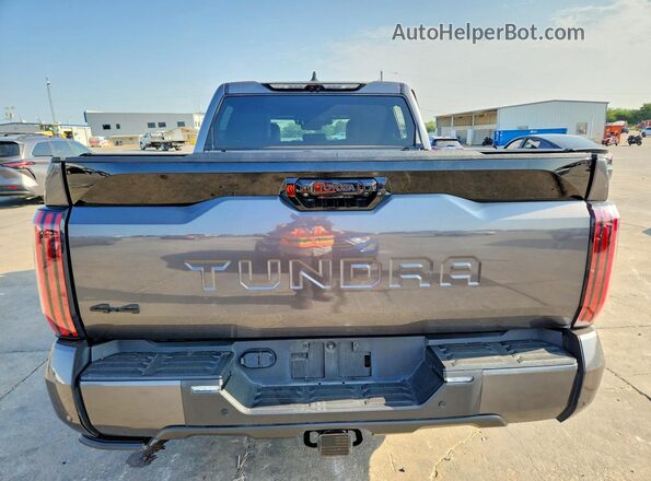 5TFNC5DB3RX047131 2024 TOYOTA TUNDRA Gray Vista trasera