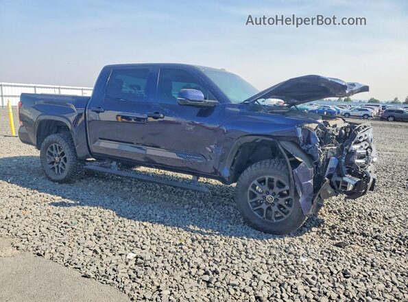 5TFNC5DB6RX053683 2024 TOYOTA TUNDRA Blue Przód prawy