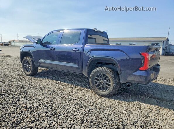 5TFNC5DB6RX053683 2024 TOYOTA TUNDRA Blue Tył lewy