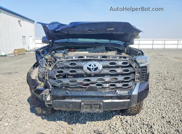 5TFNC5DB6RX053683 2024 TOYOTA TUNDRA Blue Widok z przodu