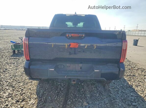 5TFNC5DB6RX053683 2024 TOYOTA TUNDRA Blue Widok z tyłu
