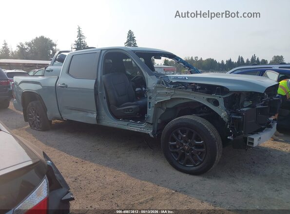5TFNC5EC0SX010227 2025 TOYOTA TUNDRA HYBRID Gray Панорамний вид салону 360°
