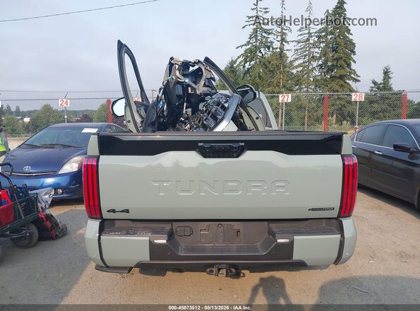 5TFNC5EC0SX010227 2025 TOYOTA TUNDRA HYBRID Gray 