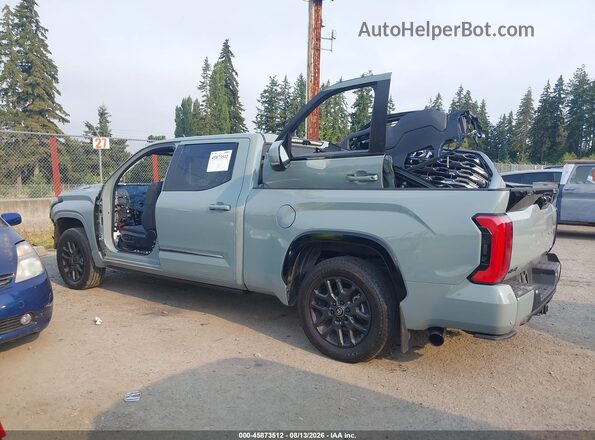 5TFNC5EC0SX010227 2025 TOYOTA TUNDRA HYBRID Gray 