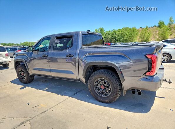 5TFPC5DB0SX089948 2025 TOYOTA TUNDRA Charcoal Tył lewy