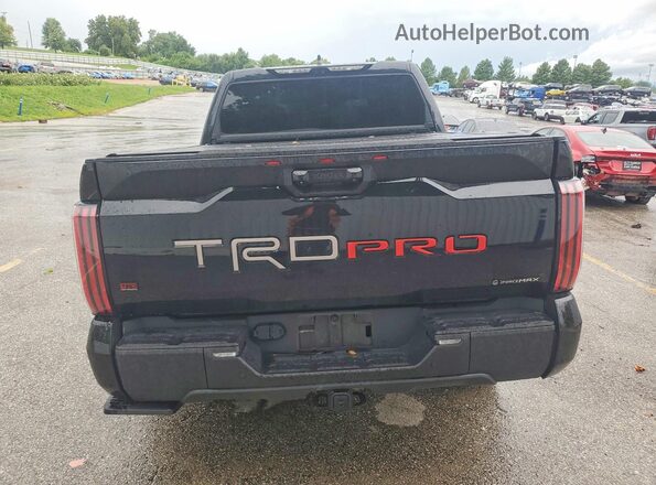 5TFPC5DB0SX105162 2025 TOYOTA TUNDRA Black Հետևի տեսք
