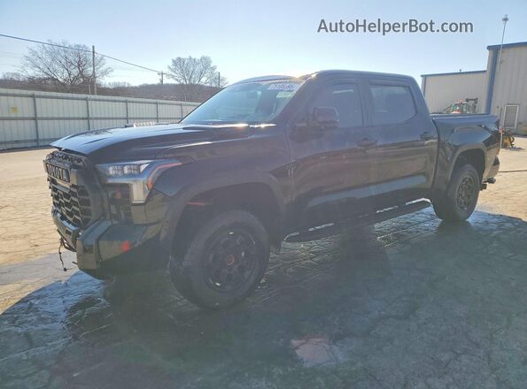5TFPC5DB8SX101165 2025 TOYOTA TUNDRA Black Tył prawy