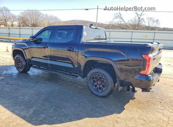 5TFPC5DB8SX101165 2025 TOYOTA TUNDRA Black Widok z tyłu