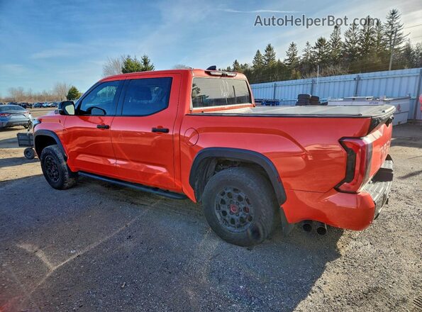 5TFPC5DB9PX027259 2023 TOYOTA TUNDRA Оранжевый Задняя левая четверть