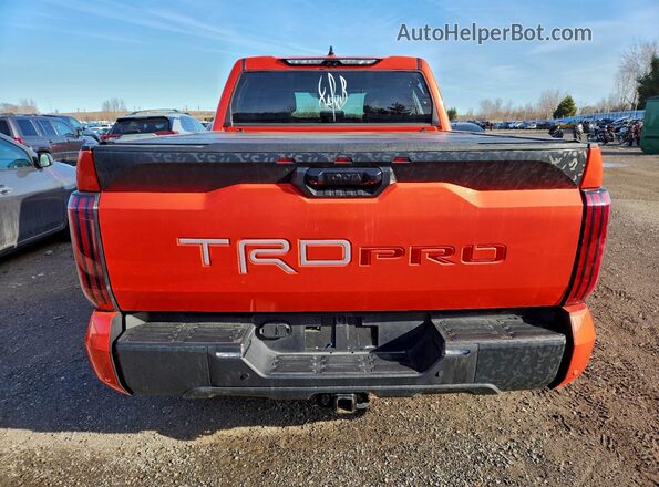 5TFPC5DB9PX027259 2023 TOYOTA TUNDRA Оранжевый Вид сзади