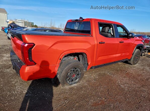 5TFPC5DB9PX027259 2023 TOYOTA TUNDRA Оранжевый Задняя правая четверть