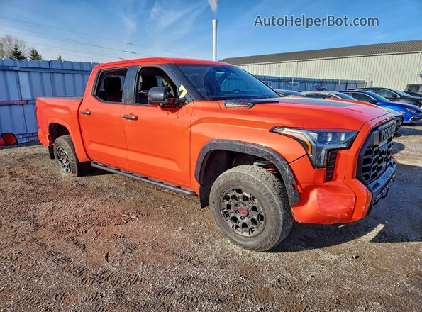 5TFPC5DB9PX027259 2023 TOYOTA TUNDRA Оранжевый Передняя правая четверть