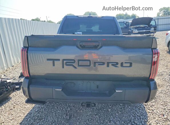 5TFPC5DB9RX084967 2024 TOYOTA TUNDRA Gray Rear view