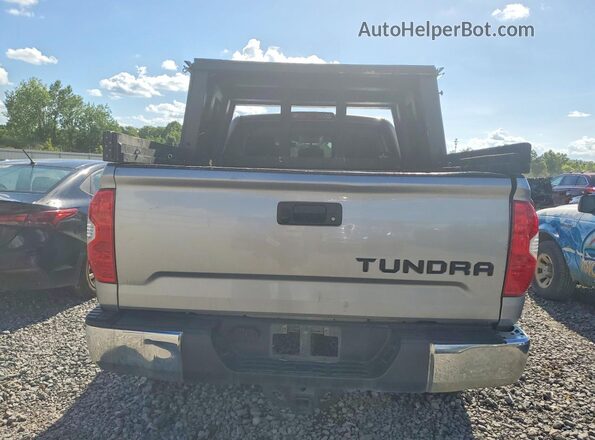 5TFRM5F15HX122025 2017 TOYOTA TUNDRA Серебряный Вид сзади