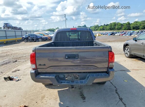 5TFSX5EN1KX064659 2019 TOYOTA TACOMA Gray უკანა ხედი