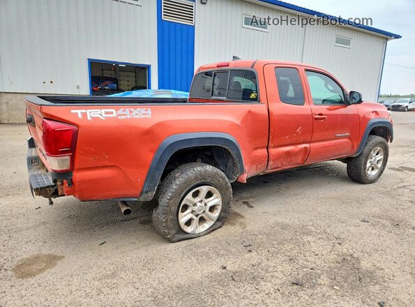 5TFSZ5AN7GX008989 2016 TOYOTA TACOMA Orange Tył prawy