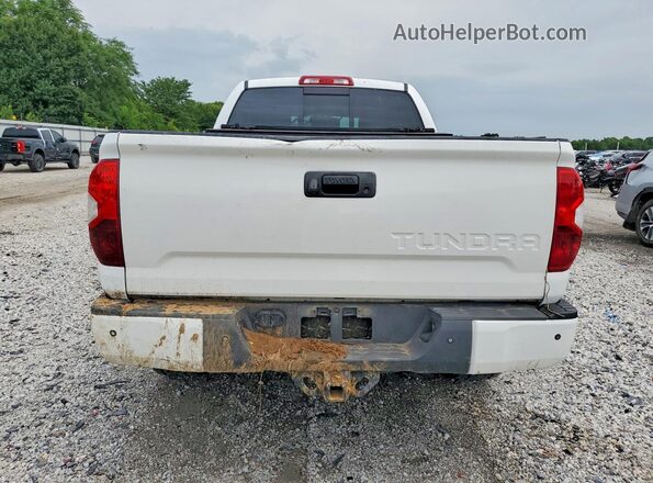 5TFUY5F11HX595676 2017 TOYOTA TUNDRA White უკანა ხედი