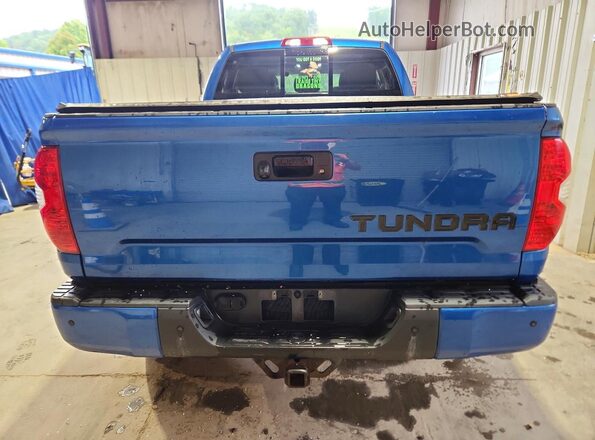 5TFUY5F19HX587485 2017 TOYOTA TUNDRA Blue უკანა ხედი