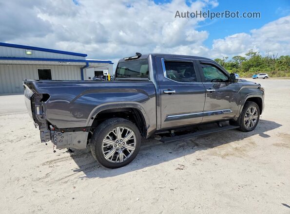 5TFVC5DB0RX078546 2024 TOYOTA TUNDRA Gray Tył prawy