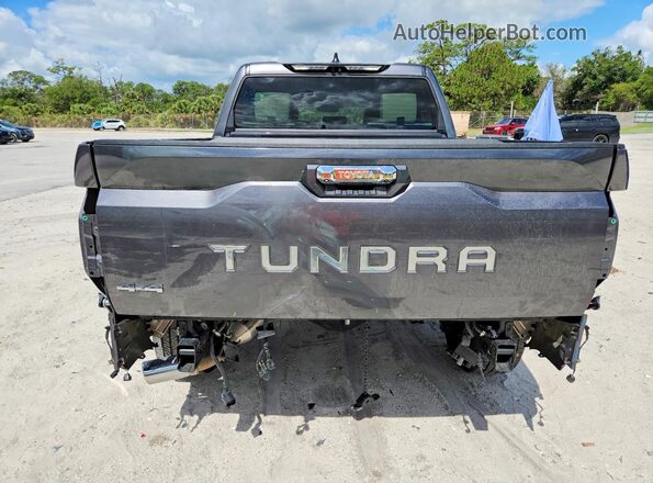 5TFVC5DB0RX078546 2024 TOYOTA TUNDRA Gray Widok z tyłu