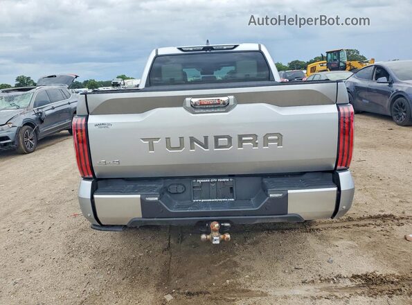 5TFVC5DBXRX080451 2024 TOYOTA TUNDRA Silver Вид ззаду