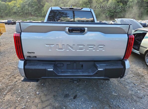 5TFWA5DB2SX254416 2025 TOYOTA TUNDRA Серебряный Вид задней части салона