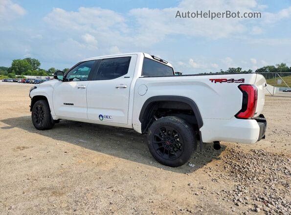 5TFWA5DB2SX282233 2025 TOYOTA TUNDRA White Задня ліва чверть