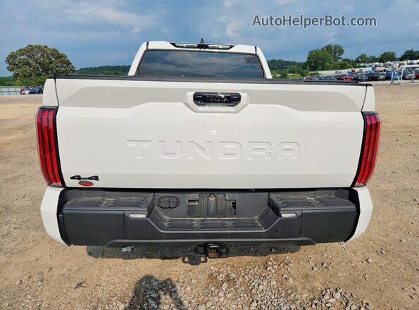 5TFWA5DB2SX282233 2025 TOYOTA TUNDRA White Вид ззаду