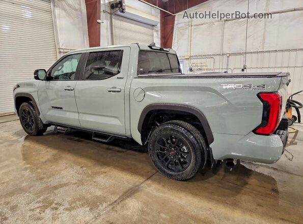 5TFWA5DB4SX318553 2025 TOYOTA TUNDRA Серый Задняя левая четверть