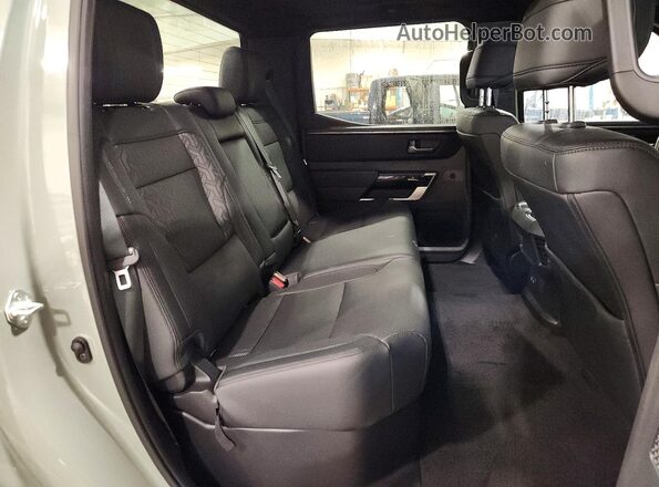 5TFWA5DB4SX318553 2025 TOYOTA TUNDRA Серый Вид задних сидений