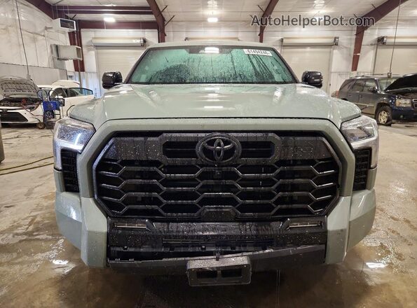 5TFWA5DB4SX318553 2025 TOYOTA TUNDRA Серый Вид спереди