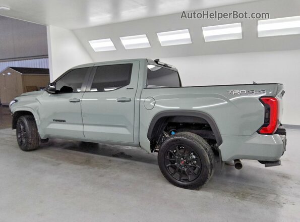 5TFWA5DB6RX230985 2024 TOYOTA TUNDRA Gray Tył lewy