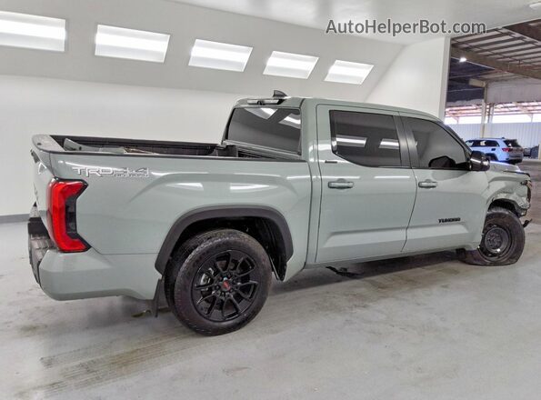 5TFWA5DB6RX230985 2024 TOYOTA TUNDRA Gray Tył prawy