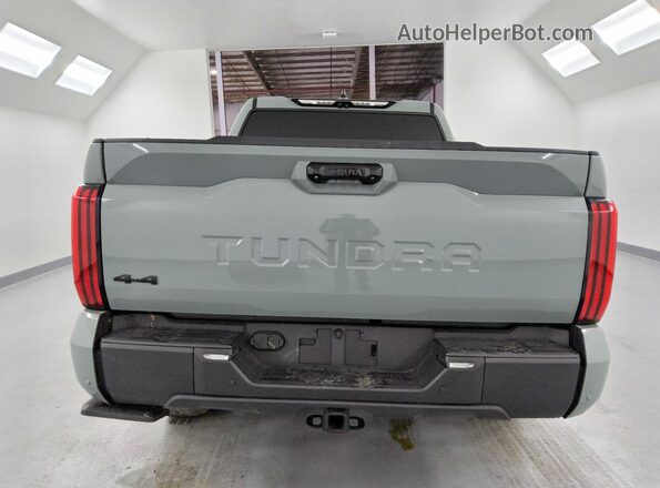 5TFWA5DB6RX230985 2024 TOYOTA TUNDRA Gray Widok z tyłu