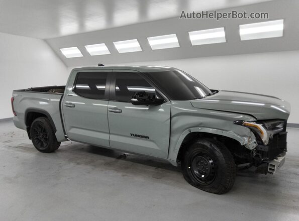 5TFWA5DB6RX230985 2024 TOYOTA TUNDRA Gray 