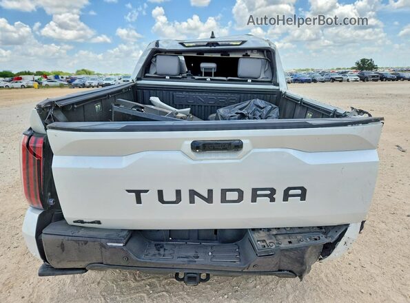 5TFWA5DB6SX244083 2025 TOYOTA TUNDRA White Вид ззаду