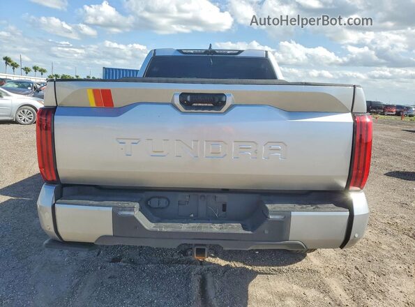 5TFWA5DB8SX240780 2025 TOYOTA TUNDRA Серебряный Вид сзади