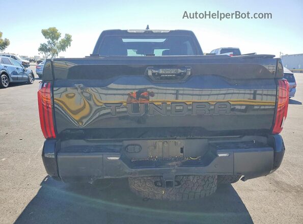 5TFWA5DB8SX299859 2025 TOYOTA TUNDRA Черный Вид сзади