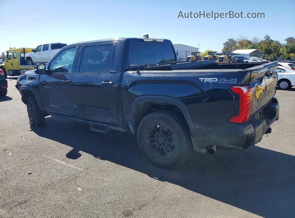 5TFWA5DB8SX299859 2025 TOYOTA TUNDRA Черный Задняя левая четверть