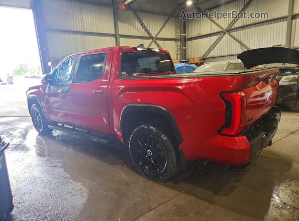 5TFWA5DB9RX186660 2024 TOYOTA TUNDRA Красный Задняя левая четверть
