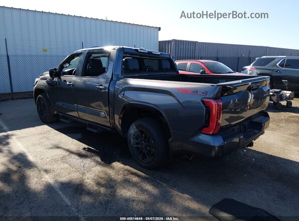 5TFWA5DBXSX305290 2025 TOYOTA TUNDRA Серый Задняя левая четверть