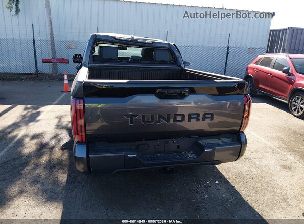 5TFWA5DBXSX305290 2025 TOYOTA TUNDRA Серый 