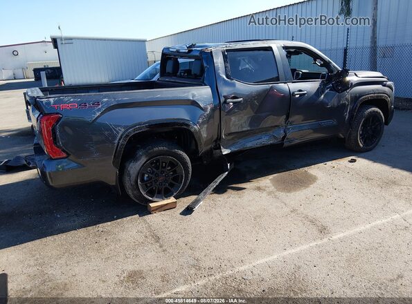 5TFWA5DBXSX305290 2025 TOYOTA TUNDRA Серый Панорамный вид салона 360°