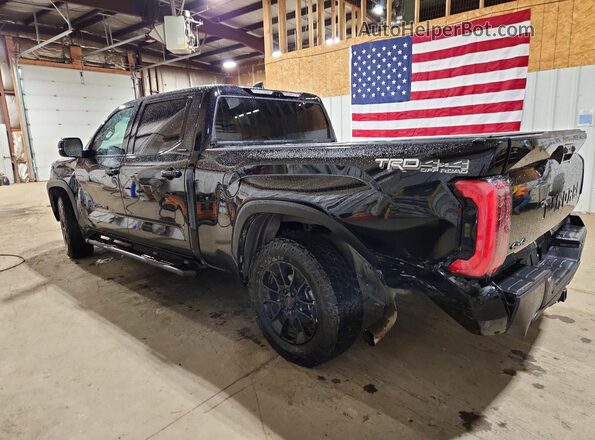 5TFWA5EC1RX030412 2024 TOYOTA TUNDRA Black Հետևի ձախ