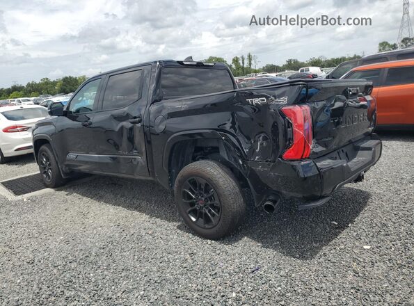 5TFWC5DB1SX105909 2025 TOYOTA TUNDRA Black Задня ліва чверть
