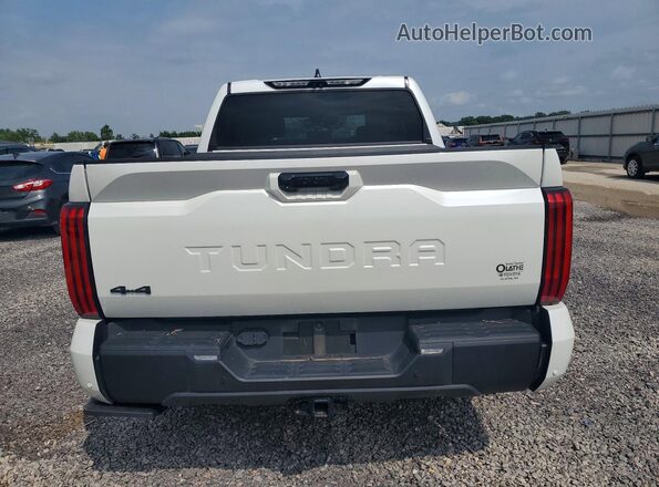 5TFWC5DB3RX077394 2024 TOYOTA TUNDRA White Widok z tyłu