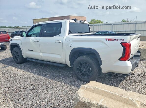 5TFWC5DB3RX077394 2024 TOYOTA TUNDRA White Tył lewy