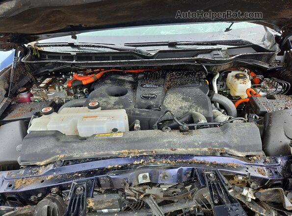 5TFWC5DB5SX112653 2025 TOYOTA TUNDRA Blue უკანა სალონის ხედი
