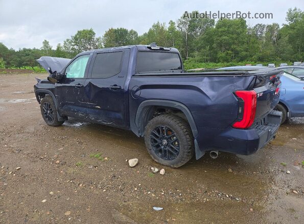 5TFWC5DB5SX112653 2025 TOYOTA TUNDRA Blue უკანა მარცხენა